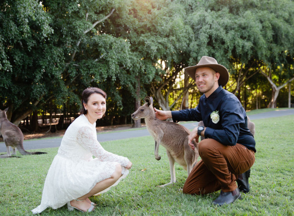 kangaroo patting