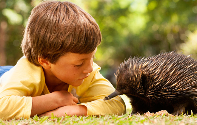 A visitor and an Echidna together.