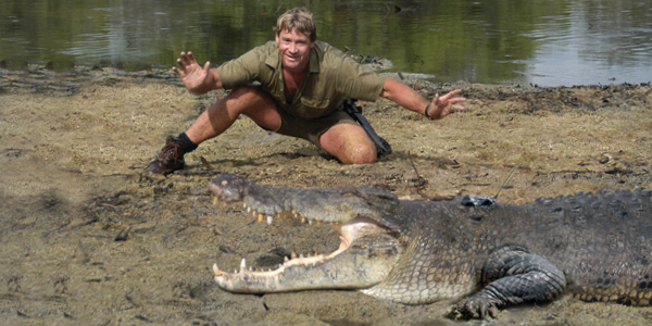 Steve Irwin and a crocodile.