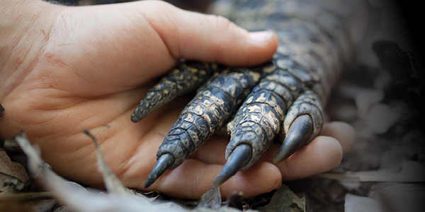 Zookeeper holding a clawed hand.