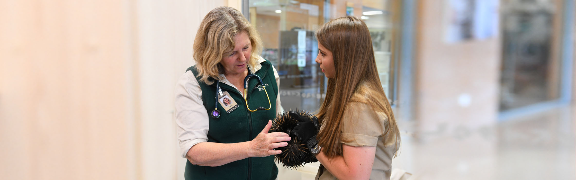 Experiences - Animal Encounters - Australia Zoo Wildlife Hospital Tour2240x700