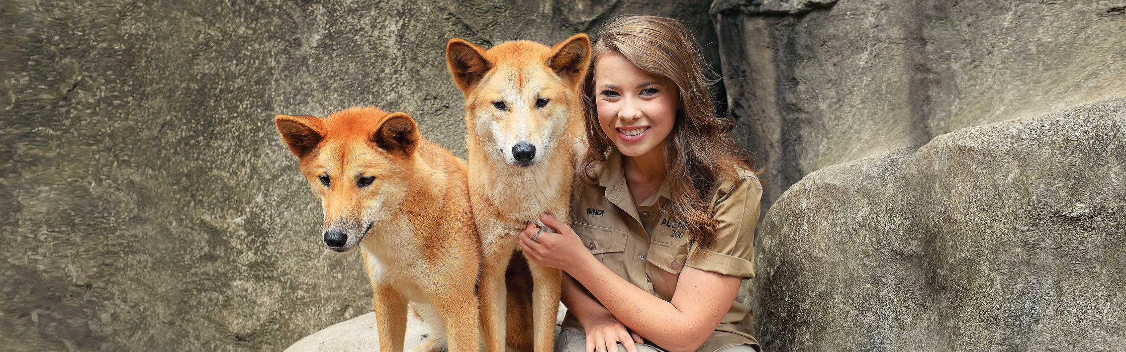 Experiences-Animal Encounters-Dingo Encounter2240x700