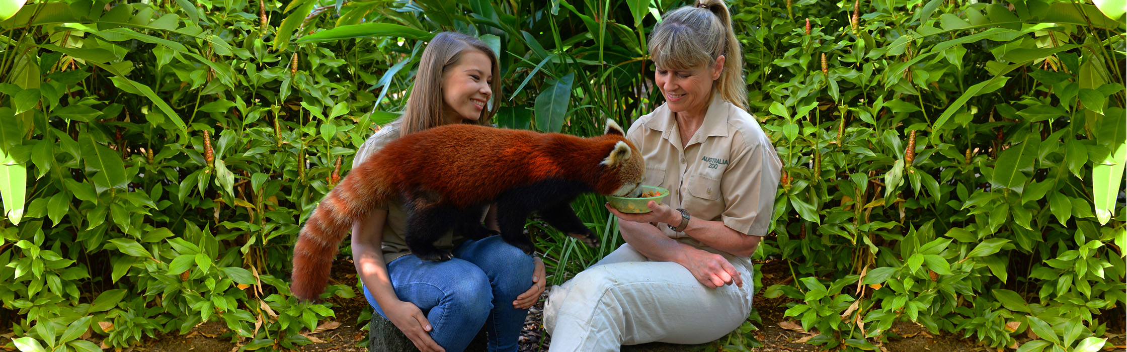 Experiences - Animal Encounters - Rascally Red Panda Encounter2240x700