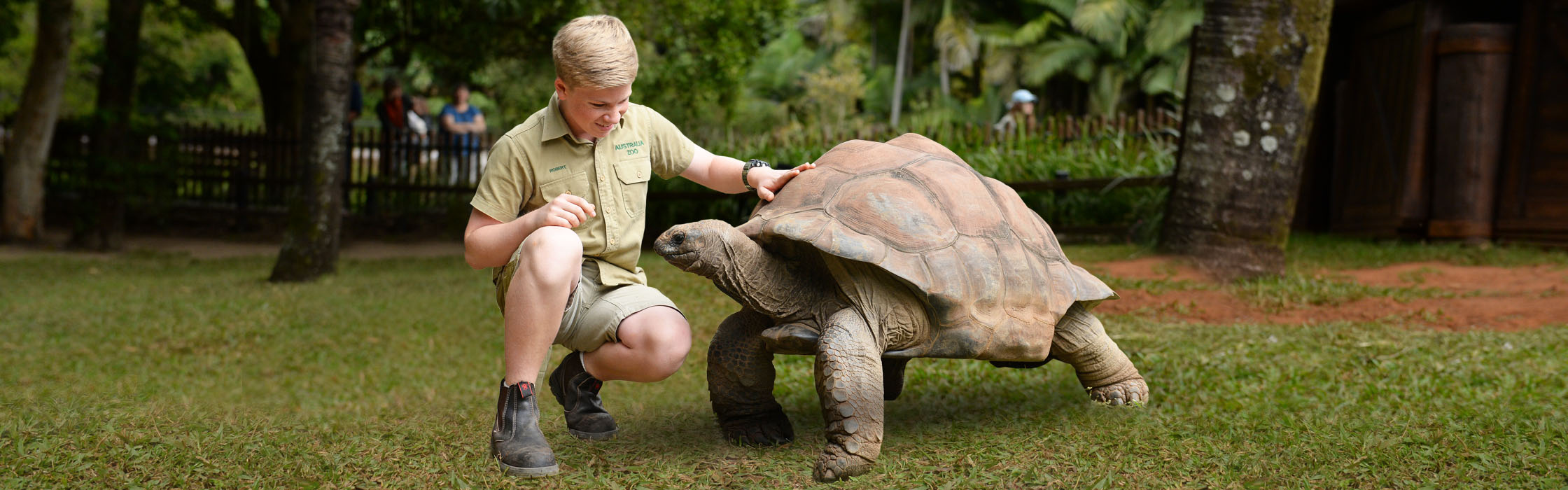 Experiences-Animal Encounters-Totally Tortoise Encounter2240x700