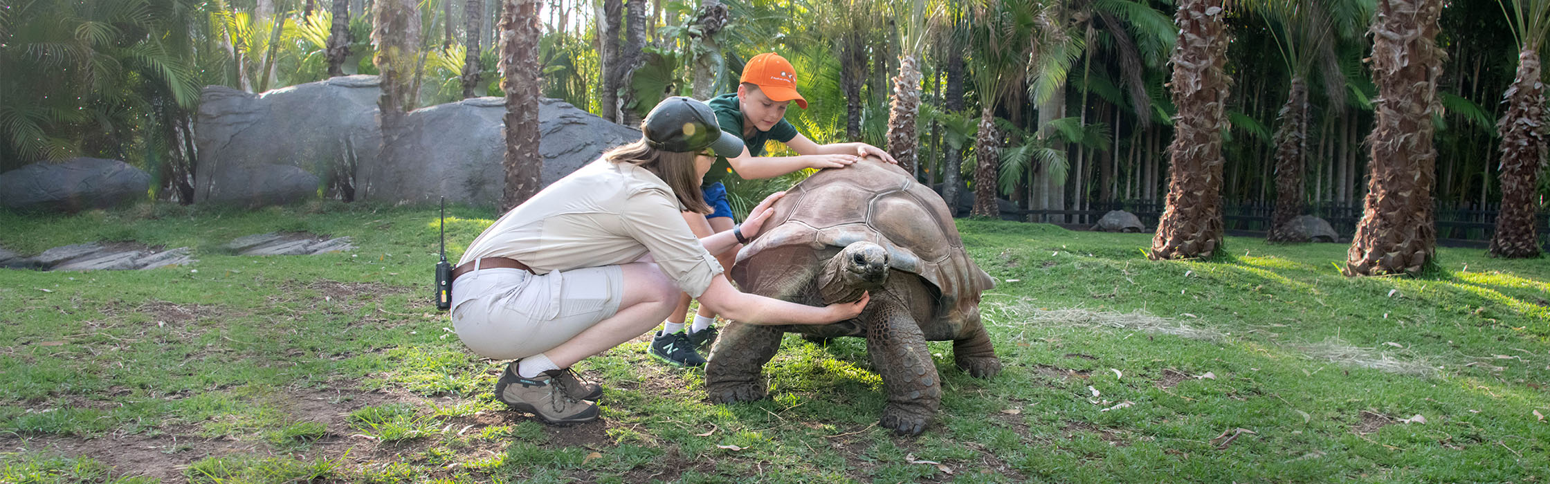 Experiences - Zoo Keeper for a Day - Khaki Sensory Program Special Needs2240x700