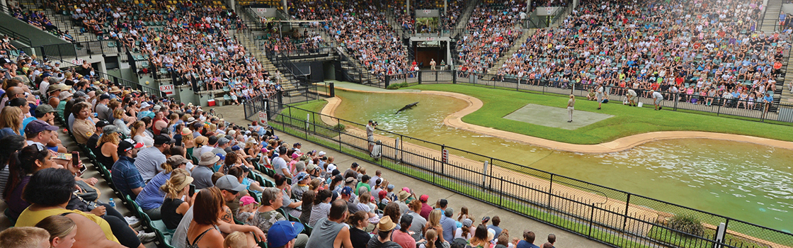 Bird show and audience.