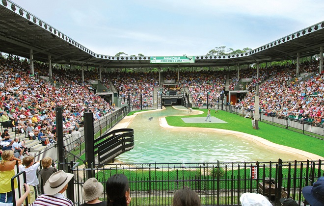 View of the crowd for a show.