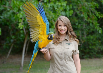 Bindi Irwin with Queto the Blue-and-gold Macaw on her hand with wings open.