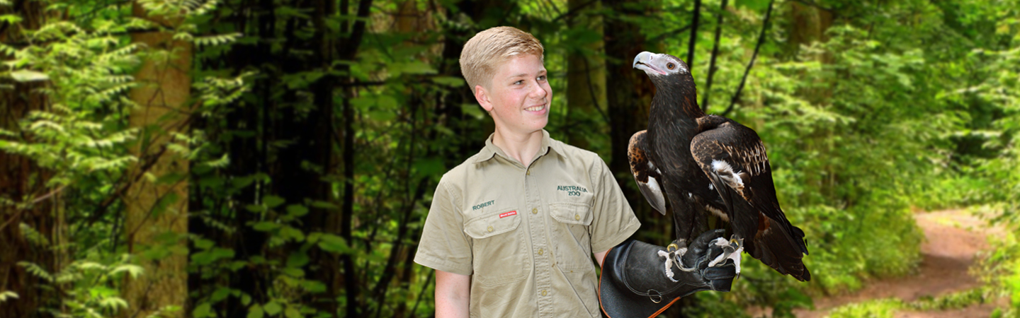 Robert Irwin with an Eagle standing on his arm.