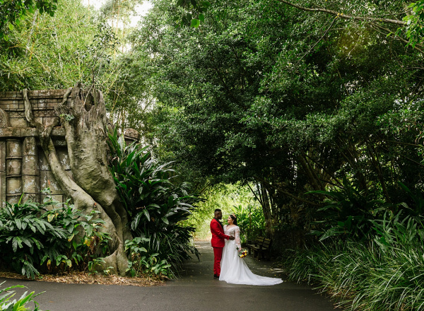 Wedding Tigers