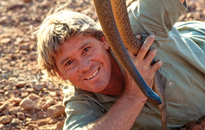 Steve Irwin