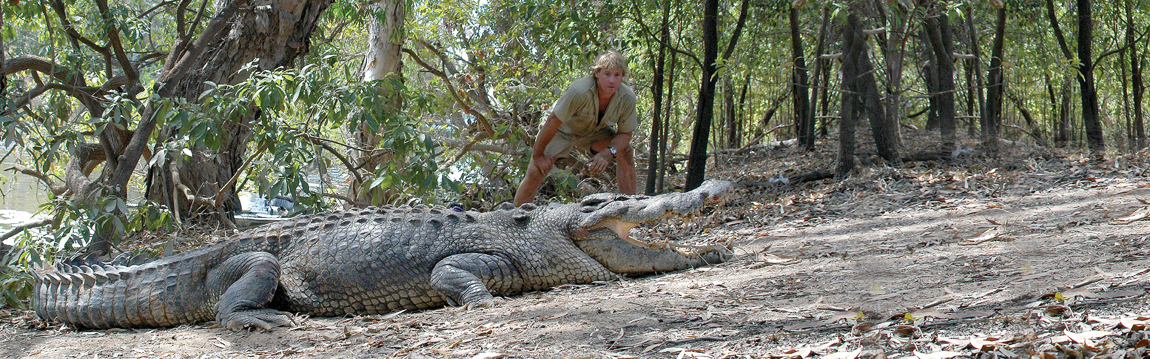 SupportWildlife-CrocodileConservation_Petition2240x700