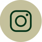 Instagram Icon